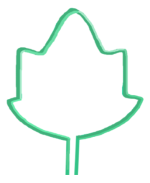 hoja